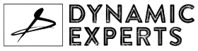 Dynamic Experts